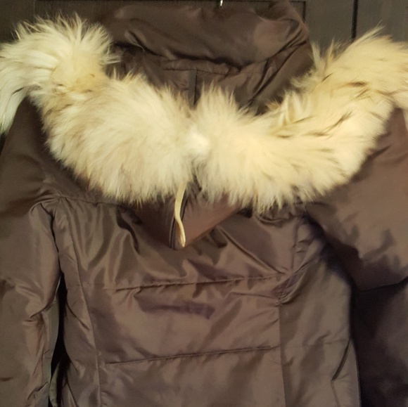 BCBGMaxAzria Jackets & Blazers - Bcbg goose down coat